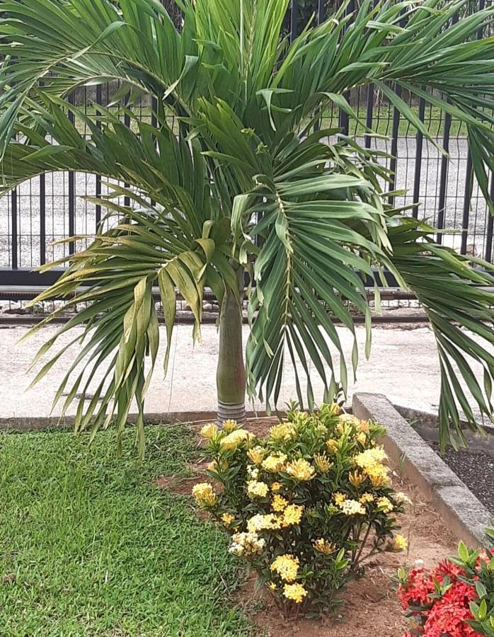 Emeraude Cayenne Exterior foto